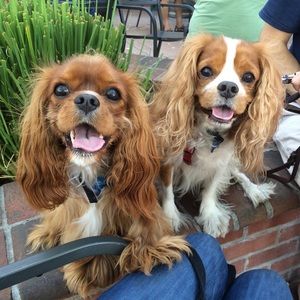 Meet your Posher, Scott